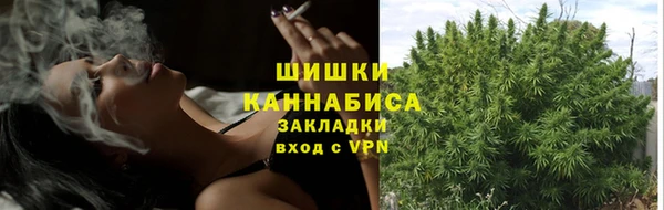 спиды Осташков