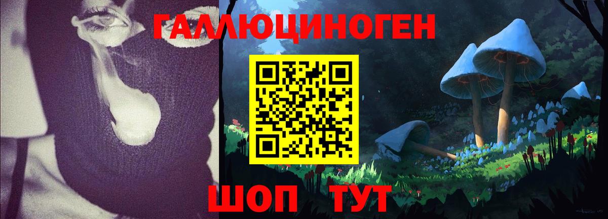 Псилоцибиновые грибы мицелий  Псилоцибиновые грибы Psilocybine cubensis  Краснокамск 