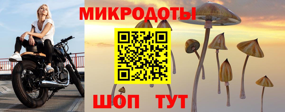 Галлюциногенные грибы Magic Shrooms Краснокамск