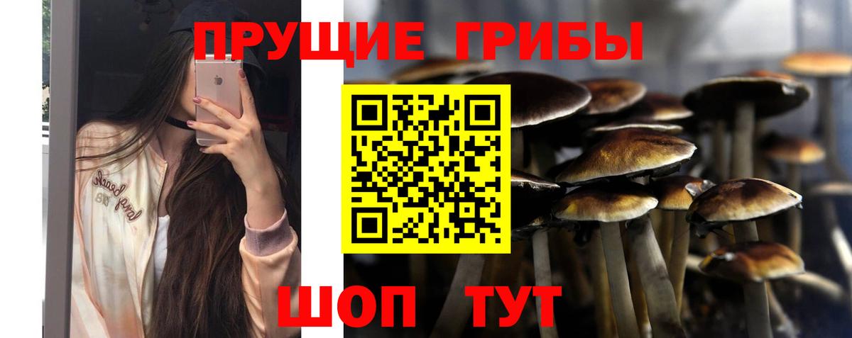 Псилоцибиновые грибы MAGIC MUSHROOMS  Вход с VPN  Краснокамск 